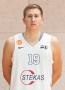Mantas  Šerkšnas