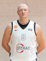 Gediminas  Povilauskas
