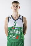 Domantas  Šarauskas