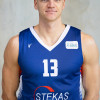 Vytautas  Saulis