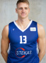 Vytautas  Saulis